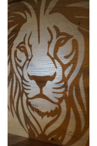 3d Baskı Aslan Figürlü Duvar Dekoru Heybetli Aslan Kabartma Duvar Panosu