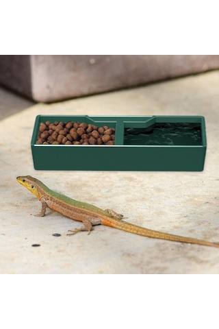 Homyl Besleme Kabı Su Tabağı Amfibi Aksesuarları Çok