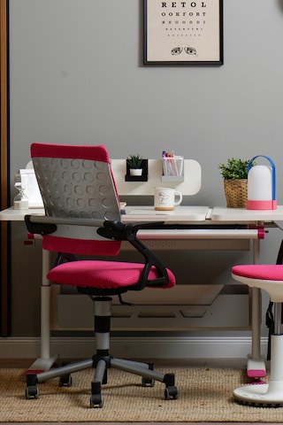 Creo Mobili Yükseklik Ayarlı Vega Plus Çalışma Sandalyesi, Ofis Ve Bilgisayar Koltuğu Fuşya/fuşya Gri