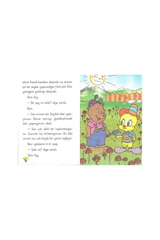 3.sınıf Okumayı Sevdiren Renkli Resimli Hikayeler - 10 Kitap