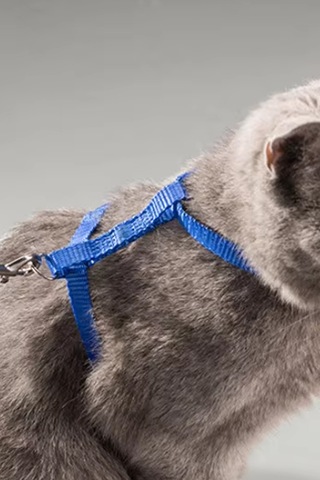 Thentech Kedi Sırt Tasması Kancalı Sağlam Kedi Tasması Göğüs Tasması Park Gezileri İçin Tasma