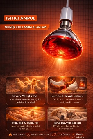 Bay 150w Isıtıcı Ampul Kırmızı Isı Lambası Civciv Kümes Kuluçka E27 Duy Isıtma Ampulü Najmaddin