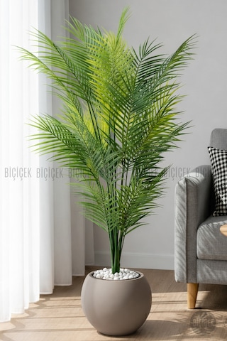 Biçiçek Areka Ağaci 24 Yapraklı 130 Cm Mocha Küre Saksıda