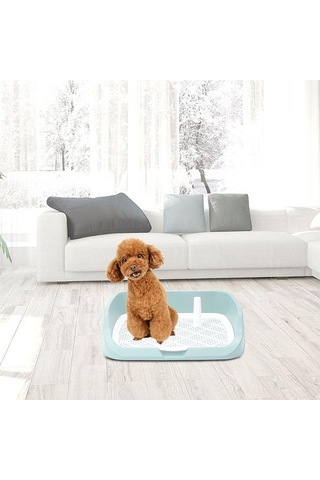 Homyl Yıkanabilir Pet Eğitim Tuvalet Tepsisi Lazımlık Yeşil