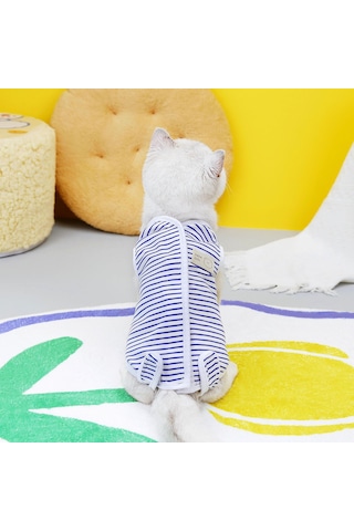 Hangfox 23 Adet Mavi Çizgili Kedi Cerrahi Sonrası Giyim - Yaralanma Korumalı, Emzirme Engellici, Veteriner Onaylı İyileşme Giysisi