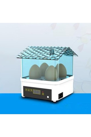 Pazly Yumurta Tavuk Suntek Makinesi Makinesi Kuluçka Kuluçka Dijital Ys