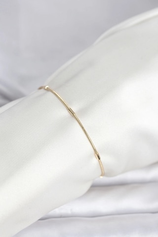 Ceylan Adam Cm 14k Gold Renk Barlı Yılan Zincir Model Kadın Bileklik Çok Renkli