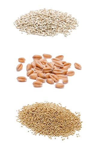 İpek Değirmen 3 Kg Premium Güvercin Yemi Sorgum Aspir Kara Buğday