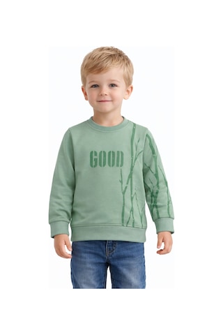 Baglan Erkek Çocuk Önü Arkası Baskılı Sweatshirt Bgl-st05240 Açık Yeşil