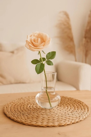 500 Ml Isıya Dayanıklı Borosilikat Cam Vazo / Mumluk / Sunum Bardağı Minimalist Tasarım Şeffaf