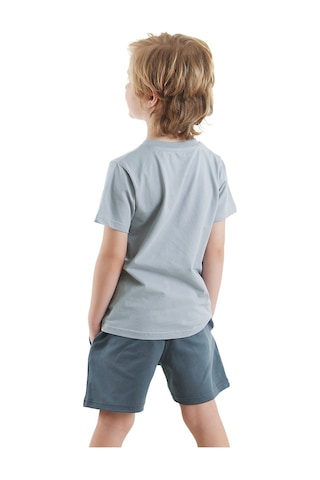 Denokids Ahoy Kedi Erkek Çocuk T-shirt Şort Takım Çok Renkli