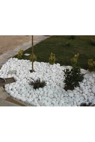 Beyaz Dolomit 25 Kg 2,5-4 Cm Dolamit Taşı Dere Çakıl Bahçe Süs Dekoratif Taş