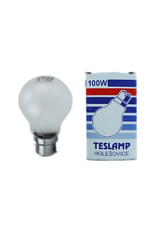 Teslamp 100W 240V 2800K B22 A60 Buzlu Cam Halojen Ampul 5 Adet
