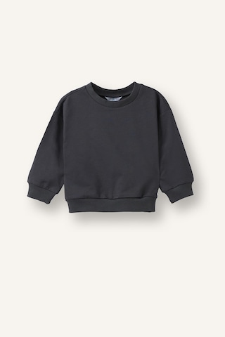 Defacto %100 Pamuk Regular Fıt Bisiklet Yaka Basic 2li Sweatshirt Set Erkek Bebek H8400a526auar31 Antrasit-ar31