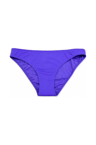 Büyük Beden Klasik Kadın Bikini Alt Lila