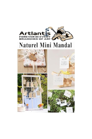 Naturel Mini Mandal Ahşap 200 Adet Renksiz Minik Mandal Dekoratif Süsleme Fotoğraf Asma Mandalı Dekarasyon