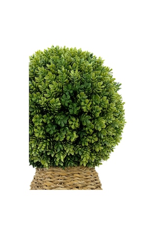 Biçiçek Si̇msi̇r Topu 110 Cm Bohem Saksıda