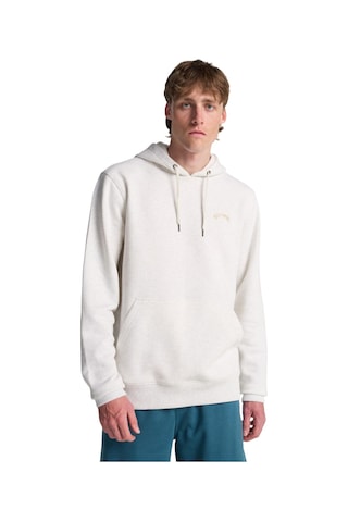 Bıllabong Billabong Arch Po Erkek Bej Sweatshirt Oah