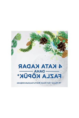 Çam Kokulu Klozet Bloğu, 2'li Paket, Ferahlatıcı Etki