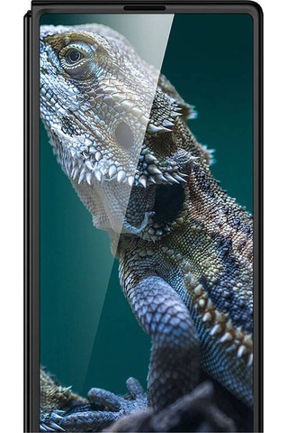 Galaxy Uyumlu Z Fold 6 Kılıf Zore Full Camlı Kıpta Kapak-siyah