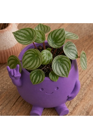 Vaveni 3d Baskı Smiley Face Planter - Gülümseyen Karakterli Saksı-mor Arz