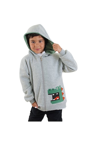 Denokids Dinozor Erkek Çocuk Fermuarlı Kapüşonlu Sweatshirt - Gri