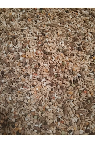 Goldmind Mix Karışım Kemirgen Yemi 5 KG
