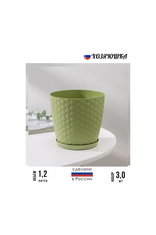 Petrostil' Rotaang Çiçek Saksı Seti 248961993