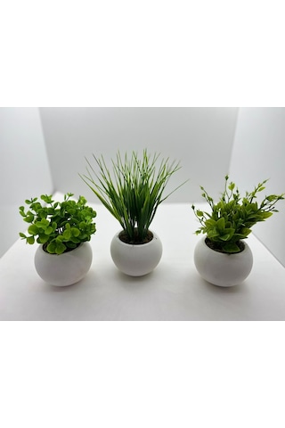 Mini Beton Saksı 3'lü Set Gerçek Yosunlu Yapay Çiçek Aranjman Hediyelik Paket Saksı