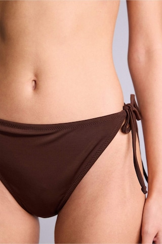 Defacto 26y801003253 Kahverengi Kadın Bikini Altı T3670az/bn341