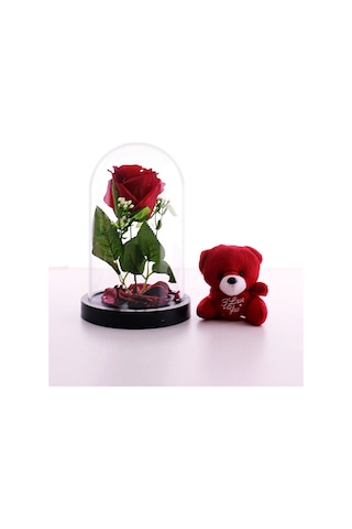Fanusta Led Işıklı Kırmızı Gül Ve Kırmızı Mini Ayıcık Sevgiliye Eşe Sürpriz Hediye Set Sevgiliye Strglbl75