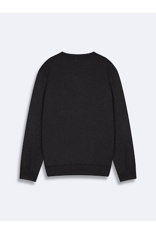 LTB Regular Fit Sign Baskılı Bisiklet Yaka Antrasit Sweatshırt