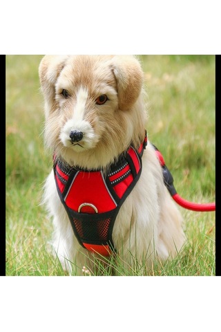 Soulader Yelek Tipi Evcil Hayvan Tasması, Göğüs Koşumlu Patlamaya Dayanıklı Yürüyüş Kayışı, Yansıtıcı Gece Güvenliği Koşu Ekipmanları