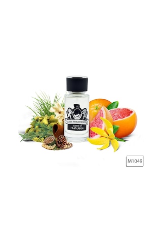 Lion Francesco Scent Of Havana Erkek Parfüm EDP 50 ML