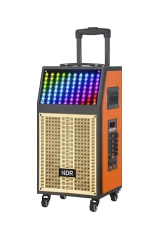 Torima NDR-108R Kablosuz Mikrofonlu Uzaktan Kumandalı RGB Bluetooth Hoparlör