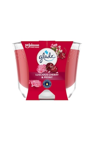 Lexroo Meyve Çiçek Buketi Büyük Mum 204 G Çok Renkli