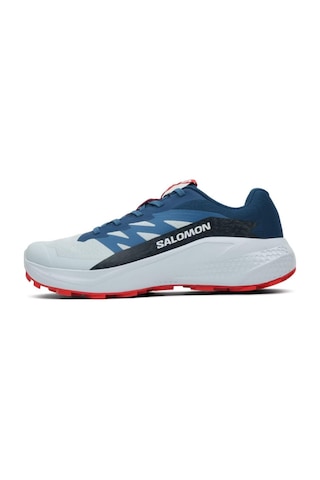 Salomon Alphaglıde Erkek Patika Koşusu Ayakkabısı L47724300 L47724300 Ama Açık Mavi