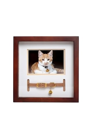 Pearhead Pet Yaka Hatıra Çerçevesi, Evcil Hayvan Anıtı Resim Çerçevesi, Evcil Hayvan Sahibi Ev Dekoru, Kedi Veya Köpek Hatırası, 3 "x 4.5" Fotoğraf Ekleme, Duvara Montaj Ve Masa Üstü Çerçeve, Espresso