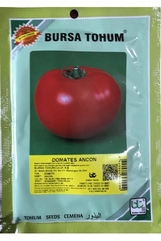 Domates Tohumu Ancon 25 GR Ort 10000 Adet Tohum