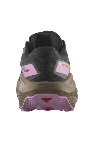 Salomon Ultra Flow 2 Gtx Kadın Ayakkabısı L47884400 Çok Renkli
