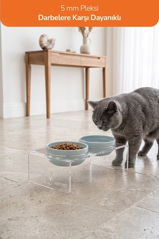 Gobypet 2'li Mavi Seramik Dekoratif Kedi Köpek Pleksi Mama & Su Kabı Paspas