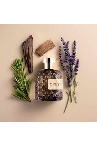 Mad Opus Erkek Parfüm EDP 100 ML