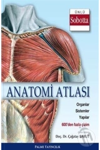 Anatomi Atlası Ünlü Sobotta Çizimleri Palme Anatomi Atlası Ünlü Sobotta Çizimleri Palme