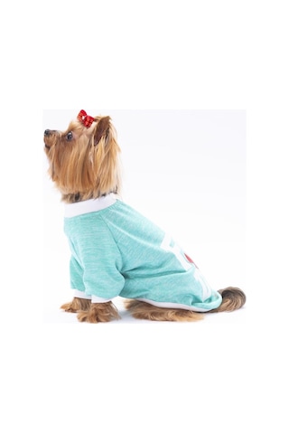 Pawstar Mint Fun Day Kedi Köpek Sweati Kıyafeti