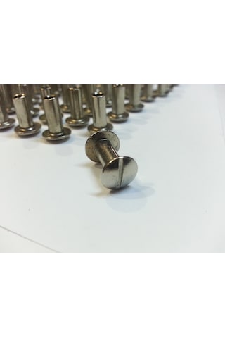 1 CM DOSYA VİDASI 100 ADET NİKEL İNOX RENK