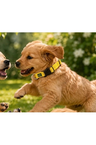 Hunter Tripoli Ayarlanabilir Reflektörlü Köpek Boyun Tasması - Xxs-xs Beden 14-20 Cm Sarı