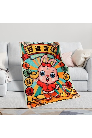 Homyl 31 "x 43" Yumuşak Atma Battaniye Flanel Oturma Stil-b Stil B Çok Renkli