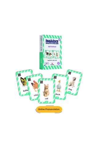 4-9 Yaş İngilizce Konuşturan Kelime Kartları English Flash Cards/ Okul Öncesi Ve İlkokul /376 Kelime