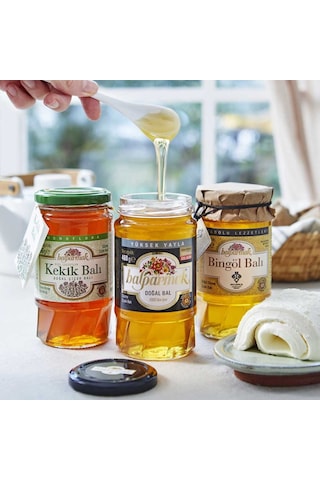 Balparmak Kekik Balı + Yüksek Yayla Balı + Bingöl Balı 3 x 460 G