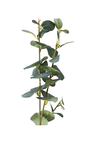 Mudo Home Aura Dal Çiçek 70 Cm Yeşil